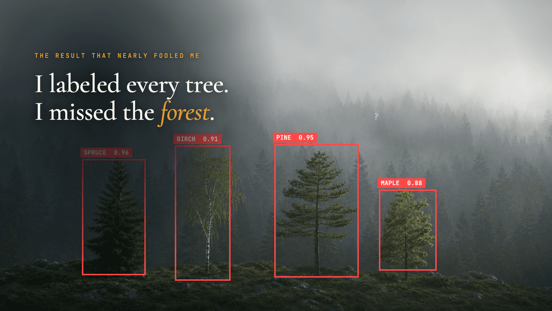 The Result That Nearly Fooled Me — I labeled every tree. I missed the forest.